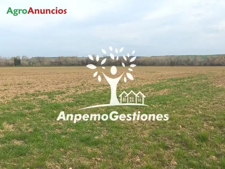 Venta de Finca de Regadío en Córdoba 17 Hectáreas