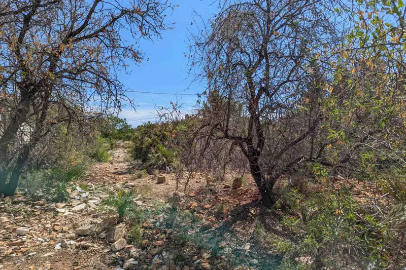 Terreno Urbano en Dénia - Parque Natural del Montgó