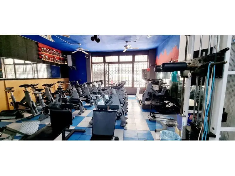 Local Comercial en Venta San Antonio Ibiza 490m2