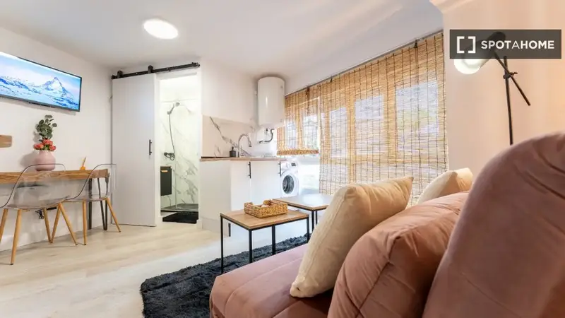 Apartamento Estudio Alquiler Santander Amueblado