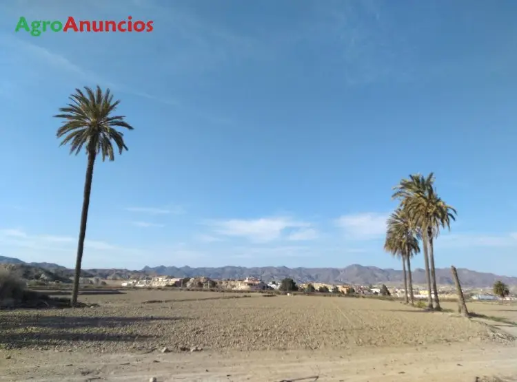 Venta  de Finca de regadío en Almería