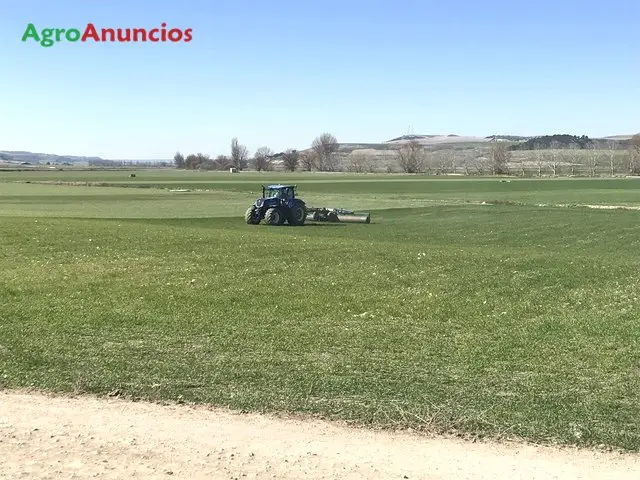 Demanda  de Fincas de labor en Valladolid