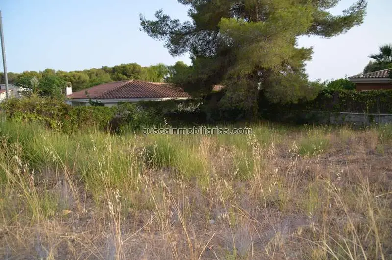 Parcela Rustica en Venta en Cunit para Casa Ideal
