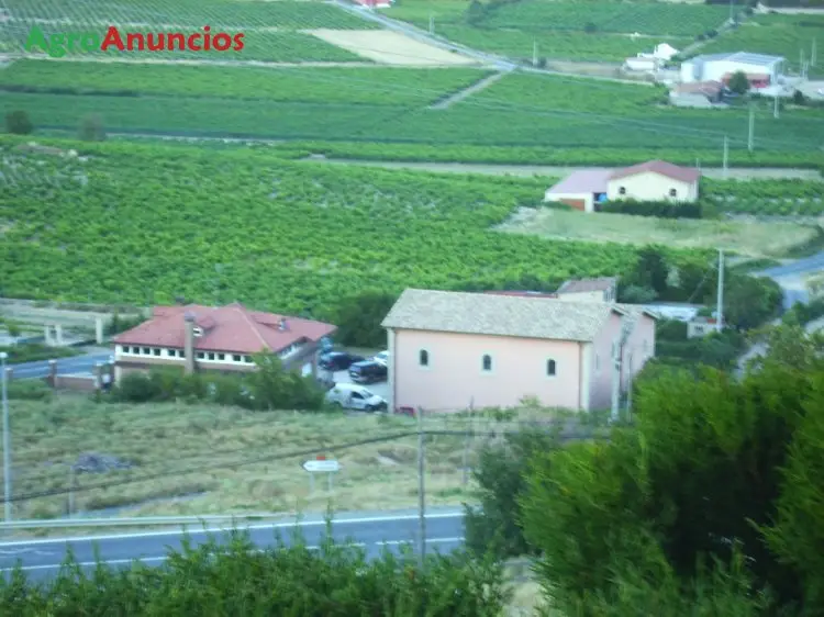 Alquiler  de Finca de viñedo de secano en Álava