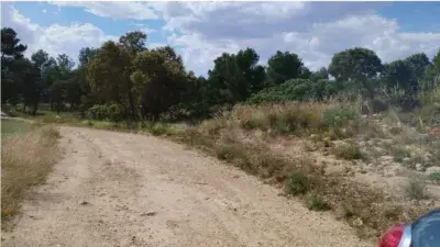 Finca Rustica 310 Hectareas Albacete Ideal Placas Solares