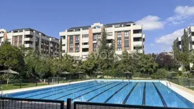 Apartamento en Alquiler Monte del Pilar Majadahonda