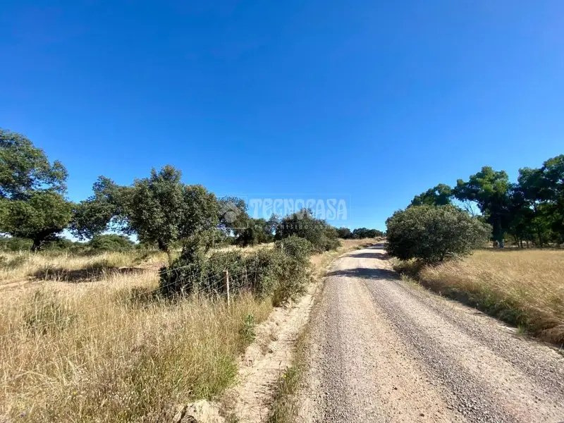 Terreno en Venta Esparragalejo 5194m2