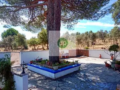 Casa Rustica en Venta con Piscina y 60 Hectareas