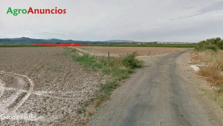 Venta  de Finca de regadío en La Rioja