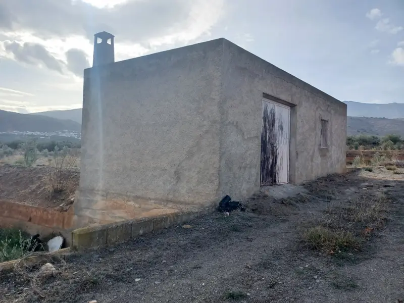Venta Finca Olivos Campillo Abrucena