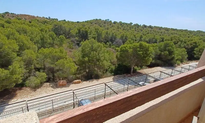 Apartamento 3 Dormitorios Orihuela Costa Campo Golf