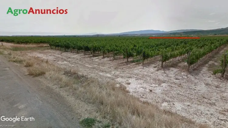 Venta  de Terreno de labor regadío en La Rioja