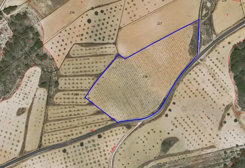 Terreno Agricola 18000m2 Cerca La Zarza Jumilla Murcia