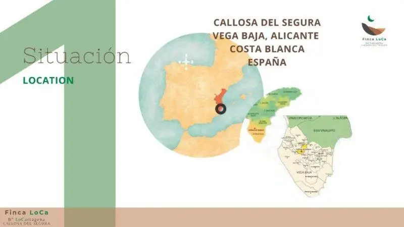 Finca Rustica con Casa en Callosa de Segura