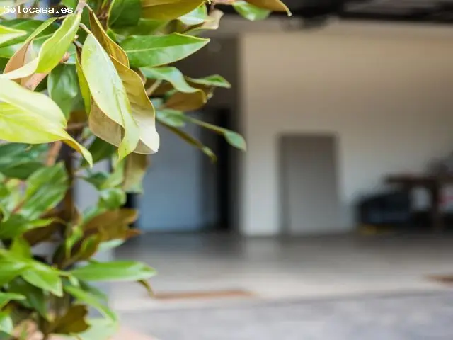 Casa con Terreno Rustico en Montornes