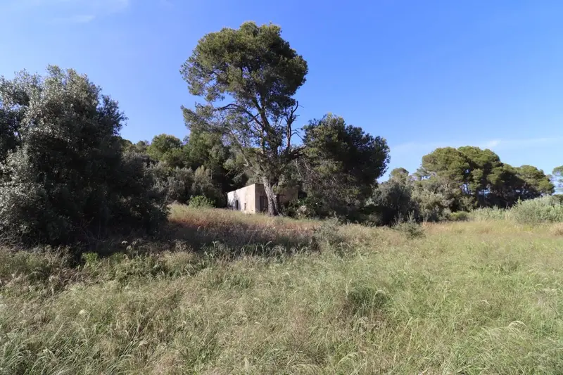 Finca Rustica en Venta Alcanar Tarragona