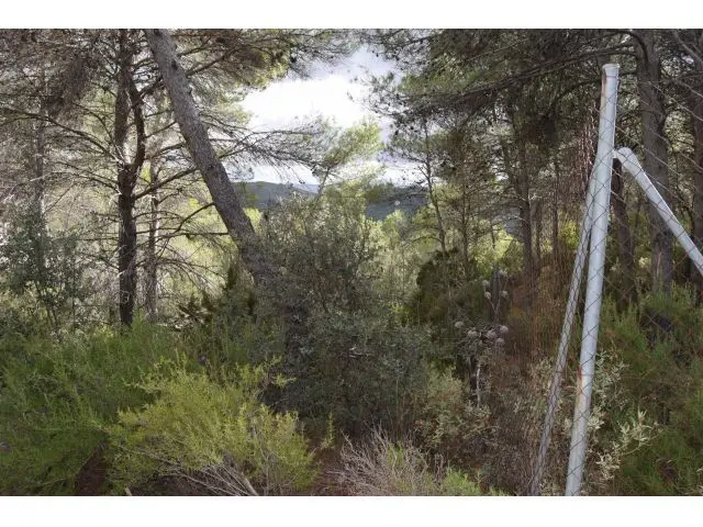 Parcela con Vistas en Nueva Sierra
