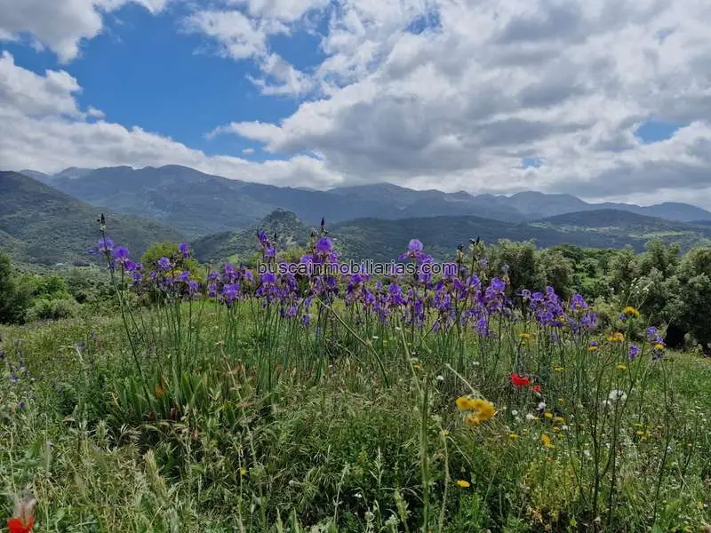 Parcela Rustica en Venta Benaocaz Sierra Grazalema