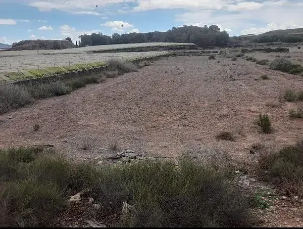 Parcela Agricola 6124m2 Alhama de Murcia