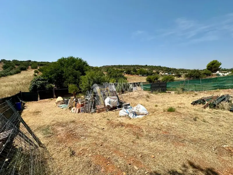 Finca Rustica en Venta Marchamalo 3265m2