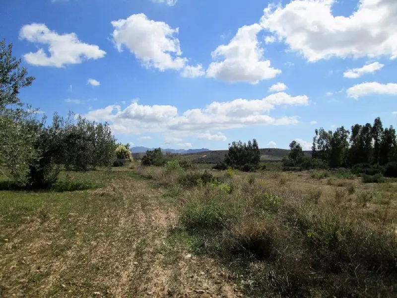 Venta Terreno Cariatiz Vistas 2350m2