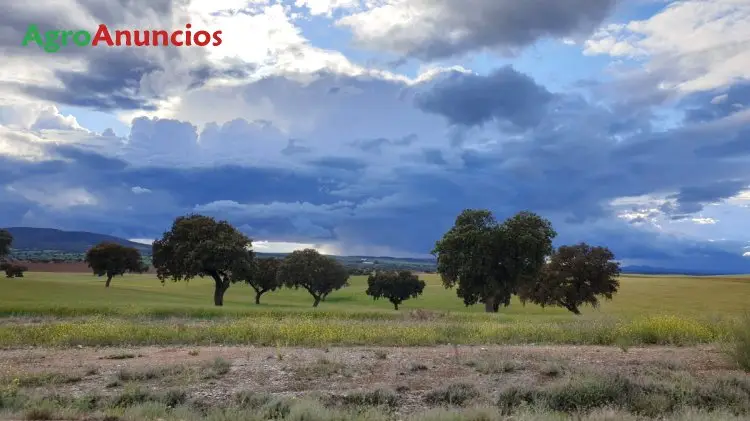 Venta  de Finca de labor secano en Badajoz