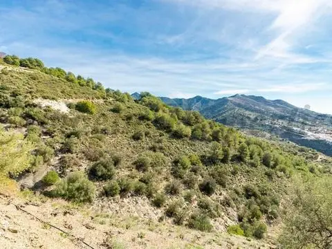Terreno en Venta Canillas de Albaida 17000m2