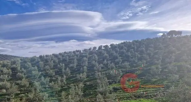 Finca/Casa Rural en venta en Castril, Granada