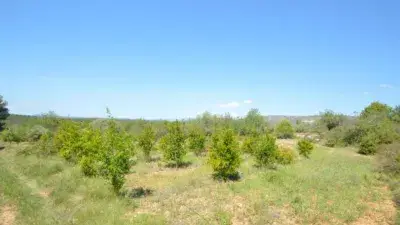 Finca rústica en venta en Zona Rural