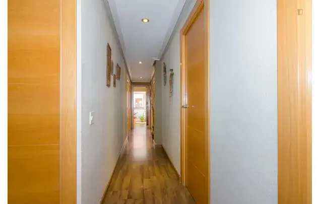Alquiler Apartamento 4 Dormitorios Alicante Zona Sant Blai Estudiantes