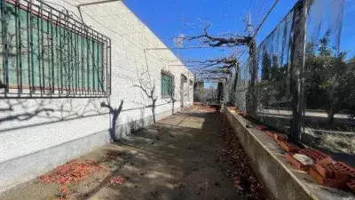 Finca Rustica con Casa 63 Ha Almeria