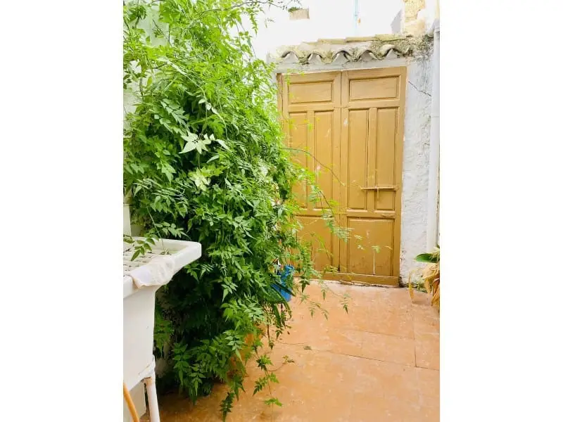 Casa en Venta en Alhama de Granada Gran Oportunidad