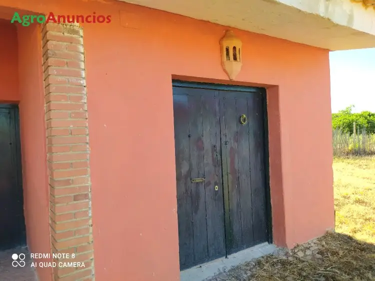 Venta  de Finca rústica vallada con pozo y alberca en Toledo