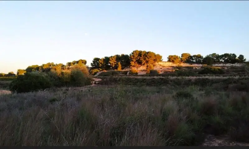 Terrenos en Venta Pinar de Campoverde Alicante