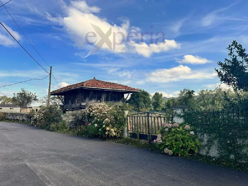 Venta Solar Siero Fonciello 4700m2 Vivienda Unifamiliar