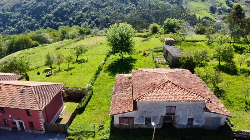 Venta Parcela Ribadesella Finca con Cuadra Cerca Playa Vega
