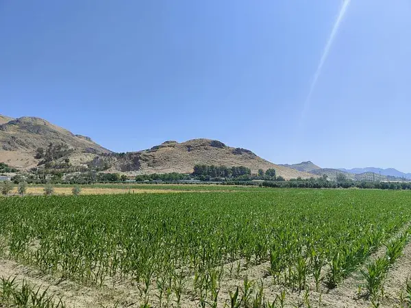 Parcela Rustica 22000m2 Atarfe Vega Granada Cultivo Inversión