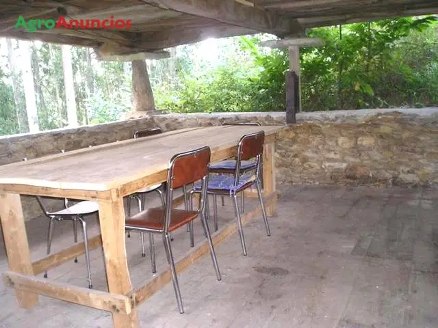 Venta  de Finca con casa y hórreo en Asturias