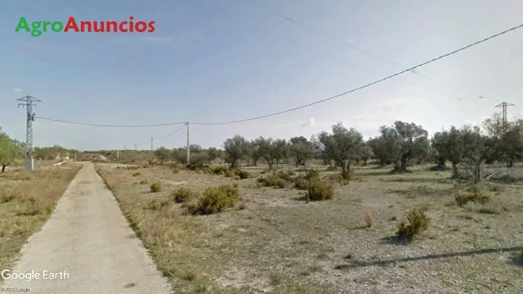 Venta  de Finca con cortijo para restaurar en Tarragona