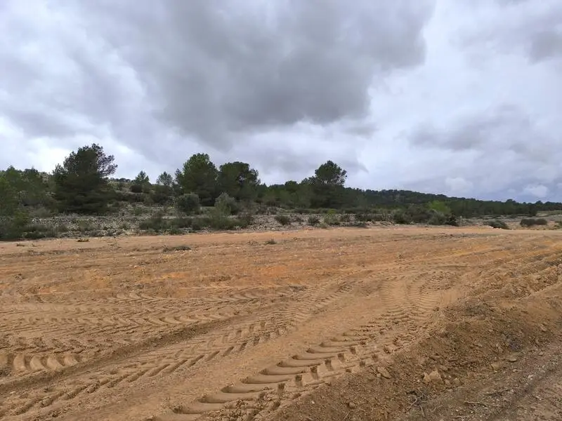 Terreno Rustico en Venta entre Pinoso y Monovar