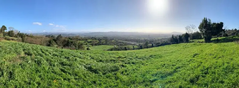 Venta Terreno Edificable Celles Pola de Siero 3033m2