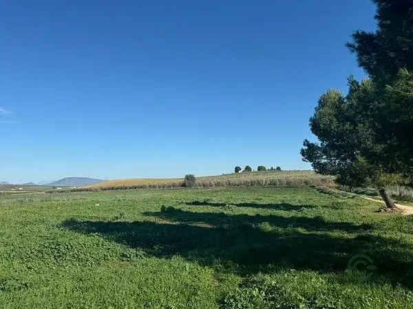 Finca Ecuestre Sierra Yeguas Malaga 11000m2 Casa 115m2 Naves OCA