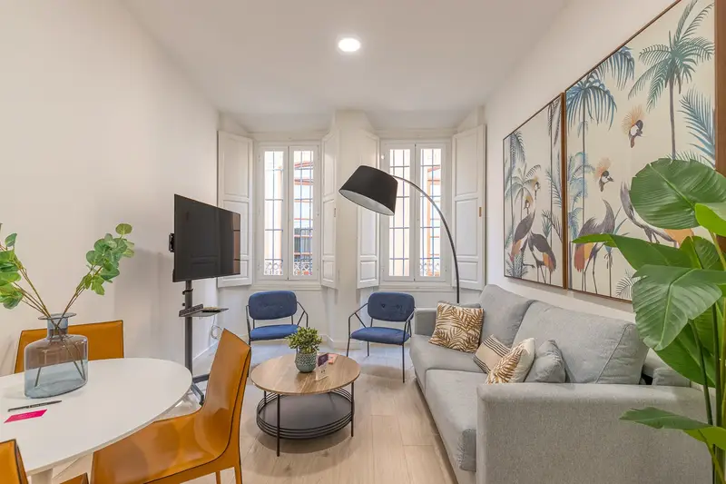 Apartamento Malaga Centro 1 Dormitorio Museo Thyssen