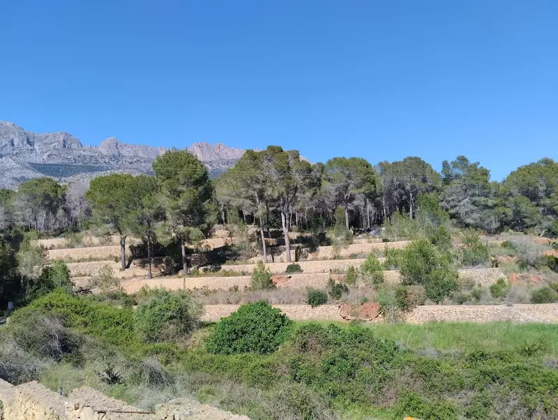 Chalet en Venta en Santa Clara Altea