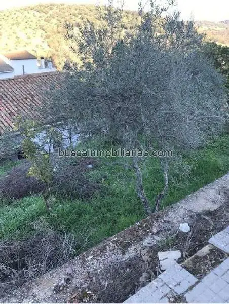 Parcela Rustica en Venta El Bosque Construye tu Sueno