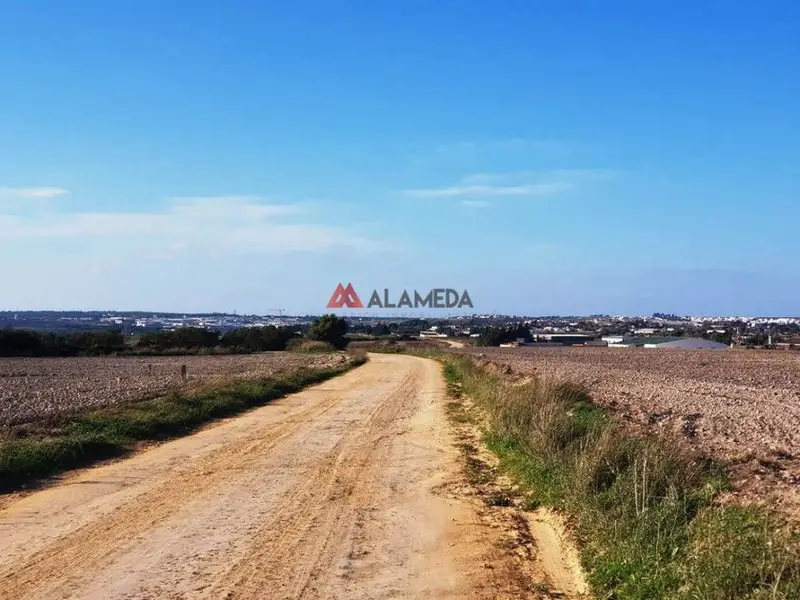 venta Terreno en Chiclana de La Frontera, Cádiz Provincia (24A38)- Globaliza