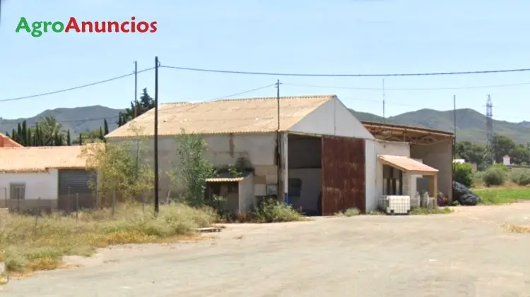 Alquiler  de Nave agrícola en Murcia