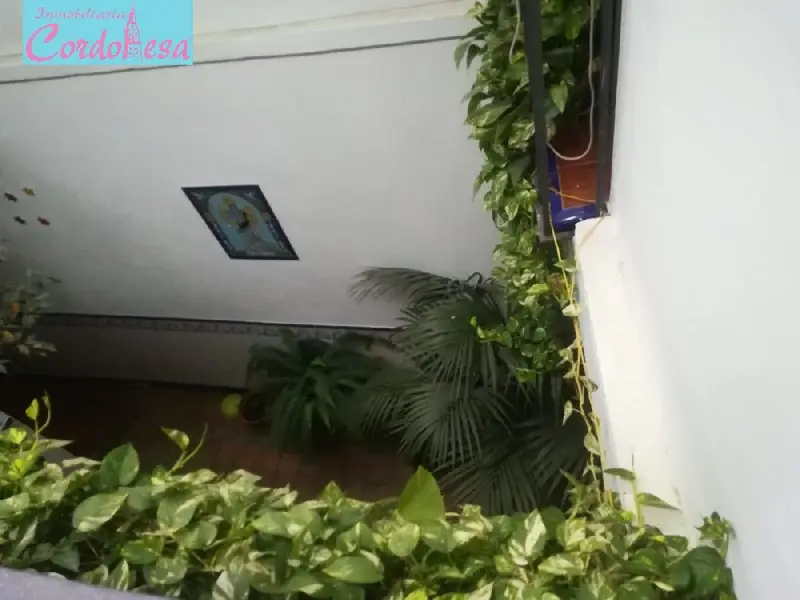 Venta Casa con Patio en Centro Cordoba