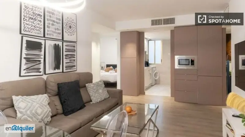 Apartamento 2 Dormitorios Sol Madrid Amueblado