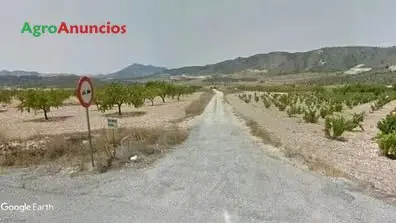 Venta  de Finca para uso recreativo, opción regadío en Murcia